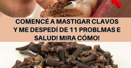 592406972 122141618660943773 2683910291742109531 n