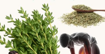 592413690 122141289380943773 974798847811136712 n