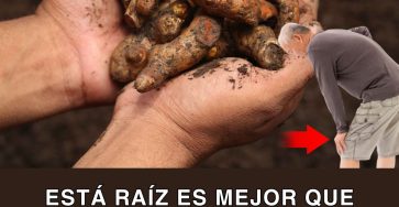 593494669 122142027350943773 4011101828570671725 n