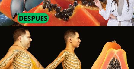 594058764 122141822516943773 1189549899893720209 n