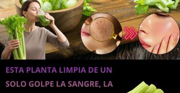 594494418 122142294338943773 9169285759832695590 n