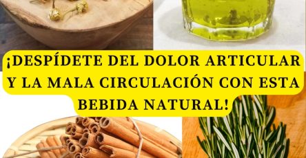 594963675 122142367874943773 8023774484144180856 n