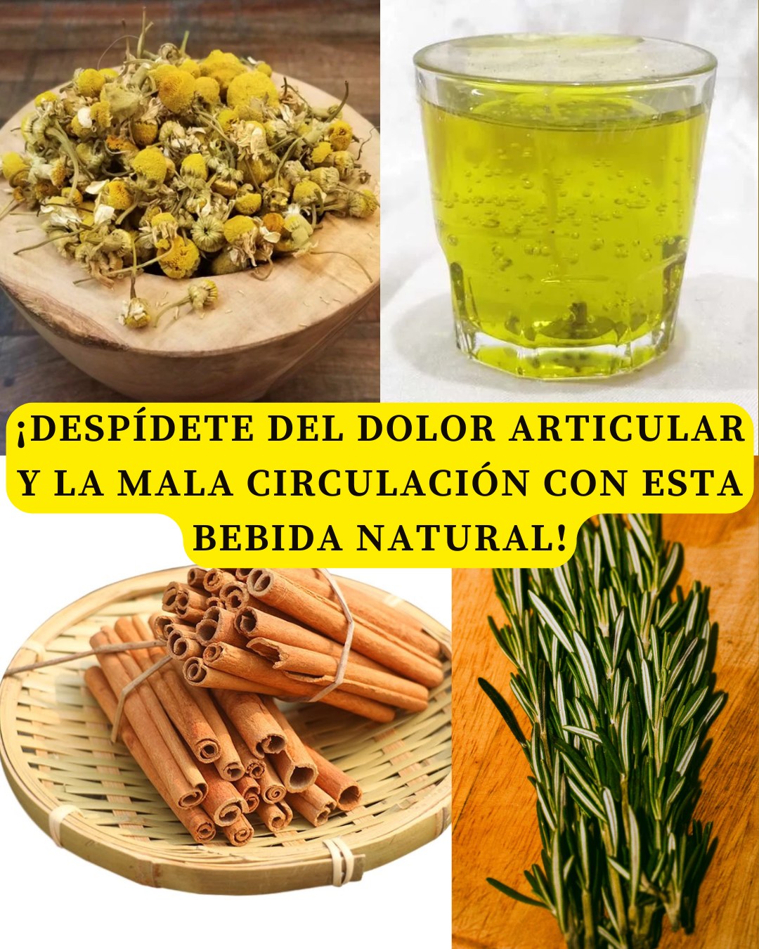 594963675 122142367874943773 8023774484144180856 n