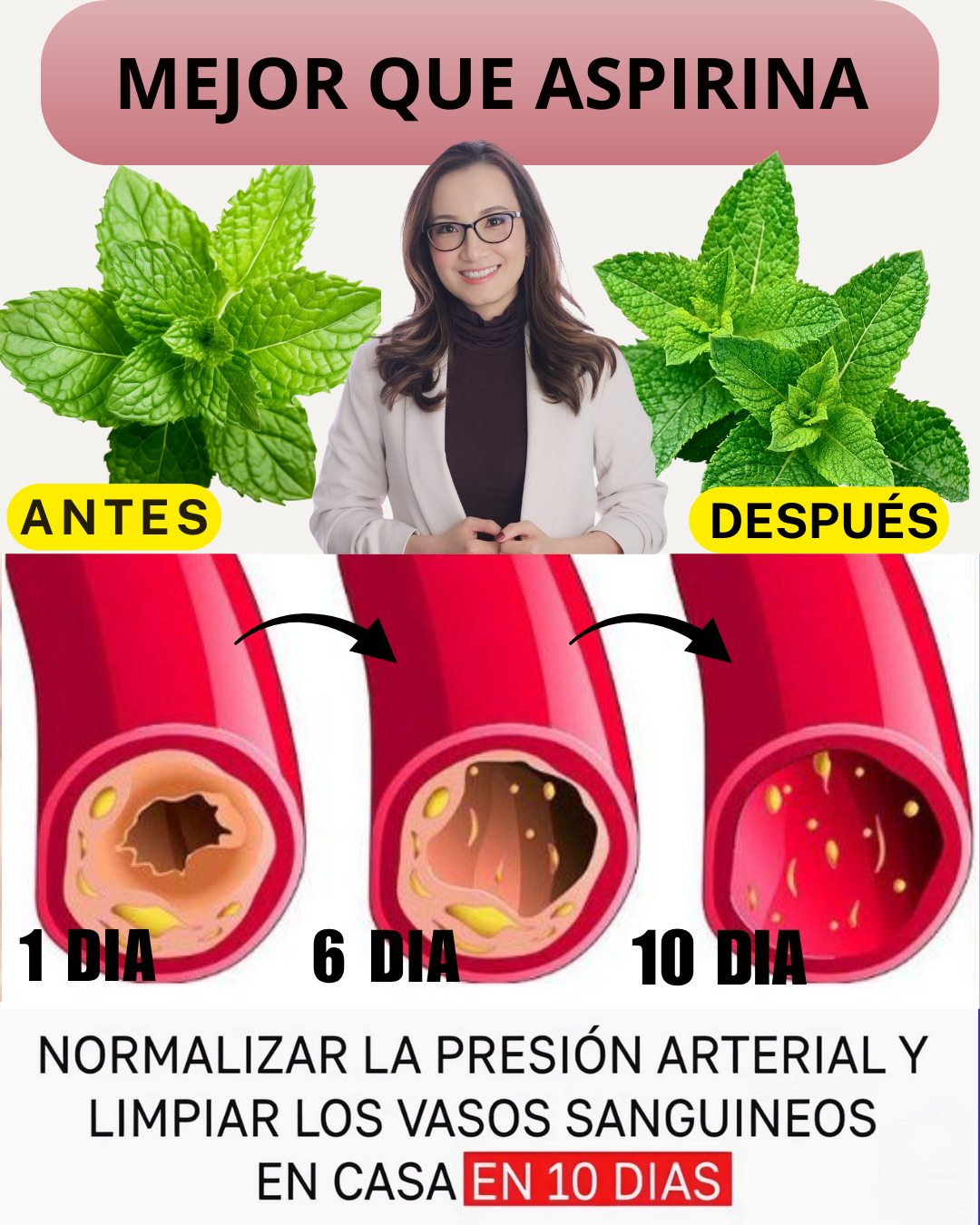 595298305 122143401398943773 2705828521861217344 n