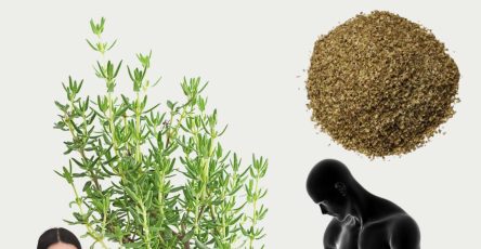 596496565 122143291292943773 5506467624450168486 n