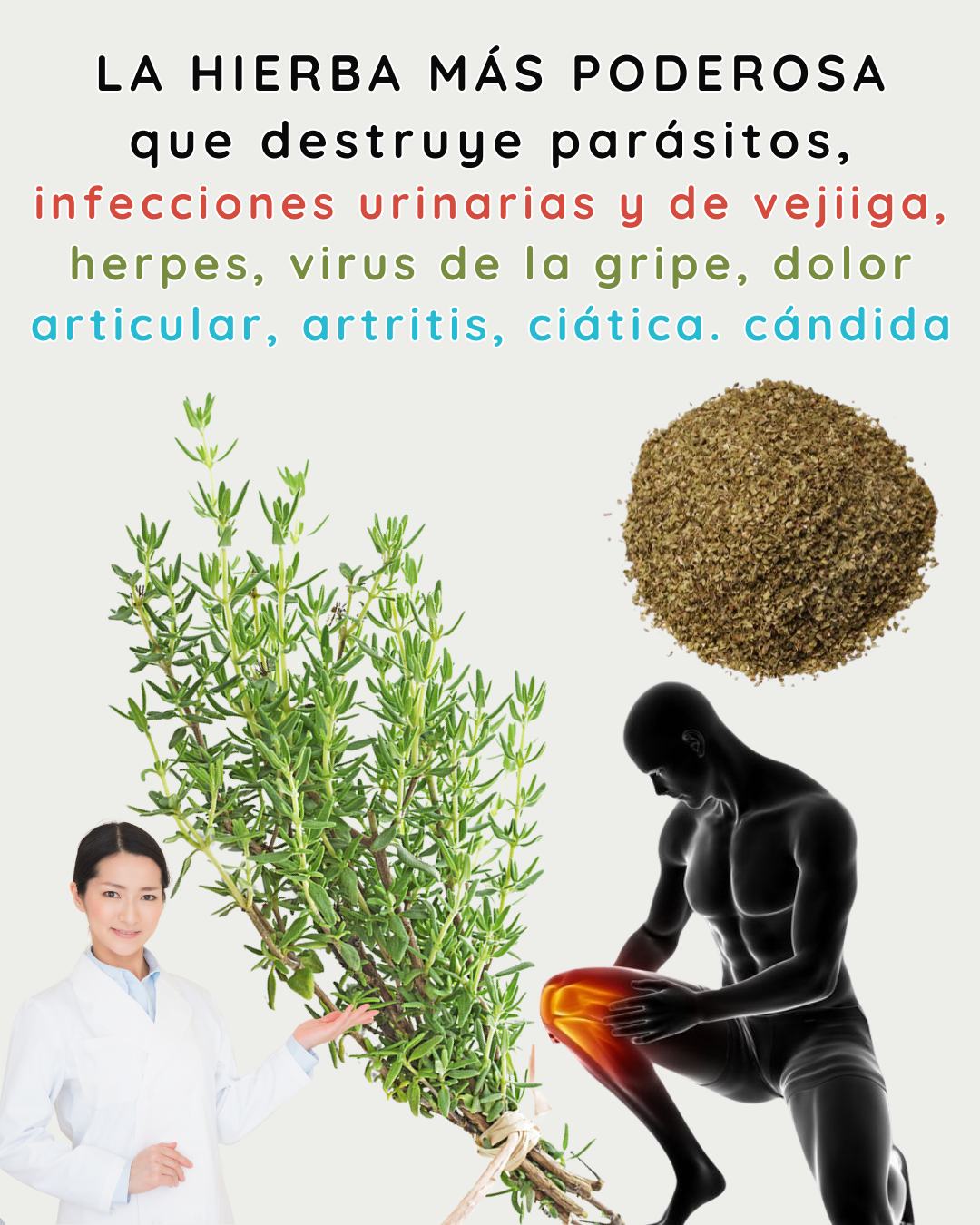 596496565 122143291292943773 5506467624450168486 n