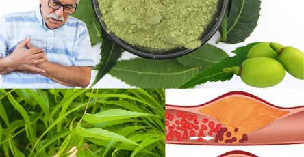 596972764 122142830042943773 5865634922019609075 n