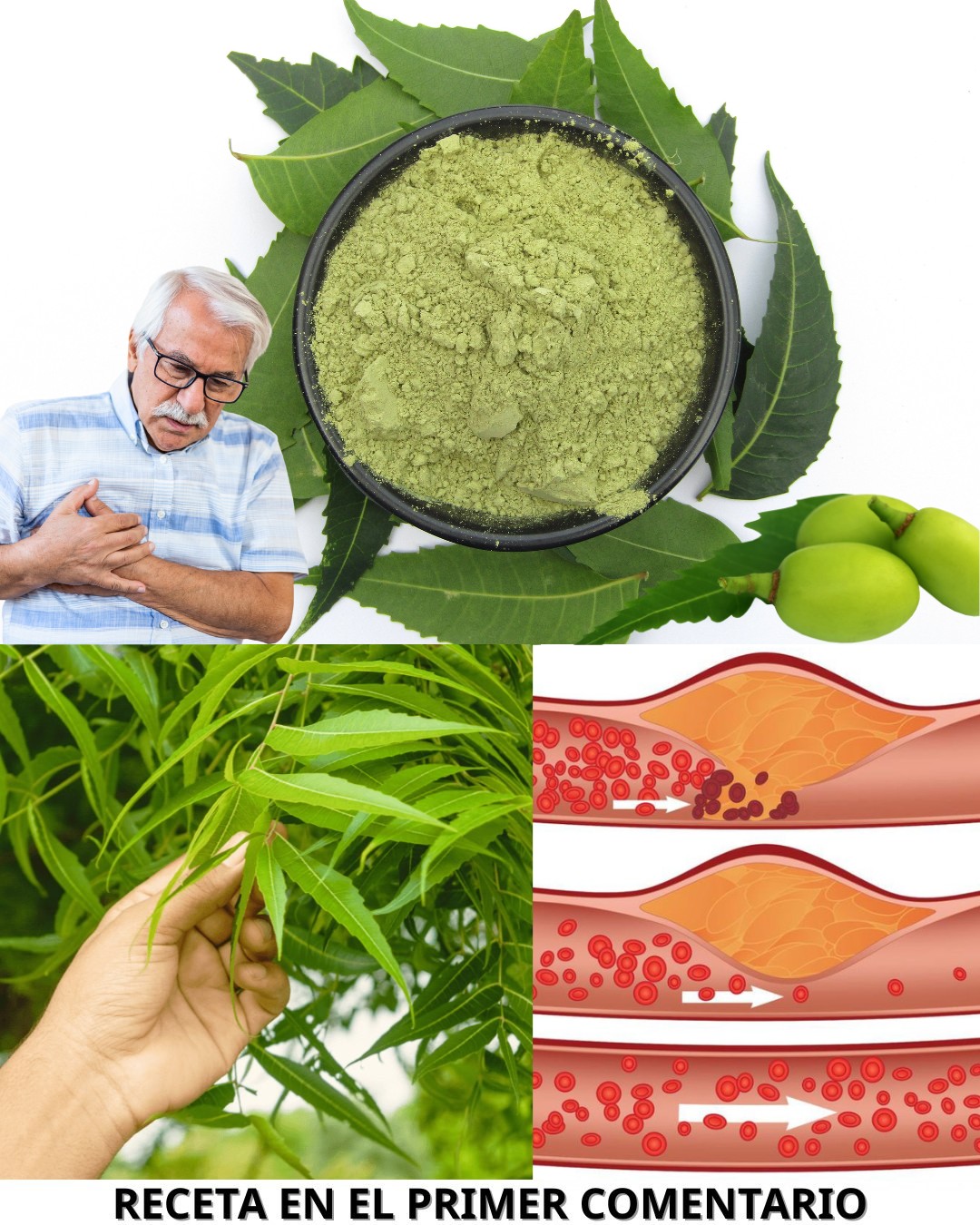 596972764 122142830042943773 5865634922019609075 n