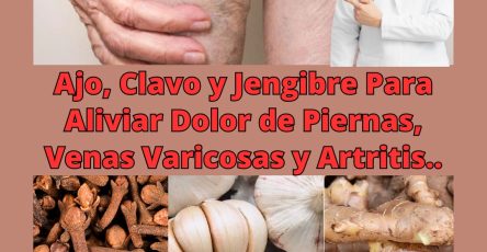 597248150 122143973108943773 8454341096400768354 n