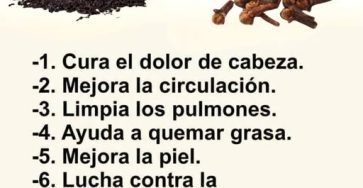 597563514 122143283042943773 1236078177426321743 n