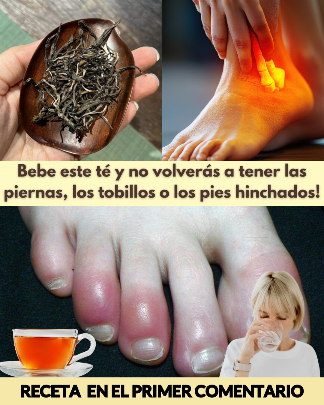 598136853 122144846240943773 3574398577328737224 n