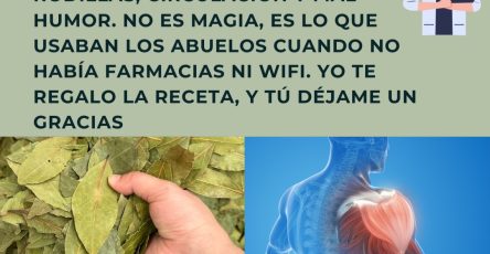 598151899 122144148812943773 7987832330893412089 n