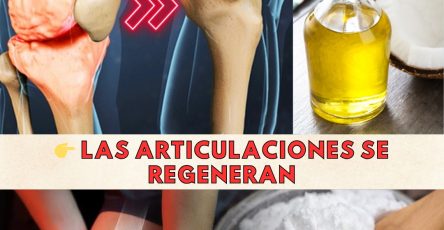 598651029 122143615514943773 9146255738780188445 n