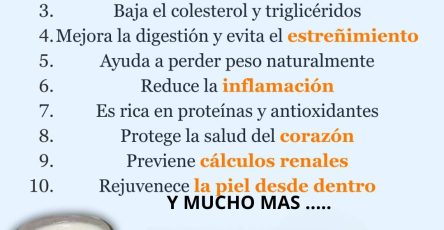 598721613 122144109632943773 1493153454441417617 n