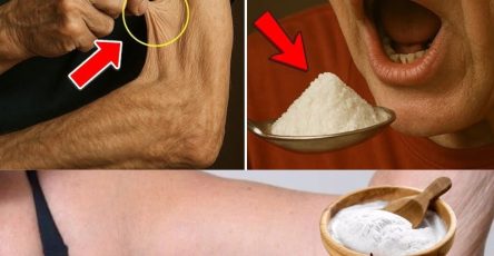 600213967 122144683790943773 7989504948334003145 n