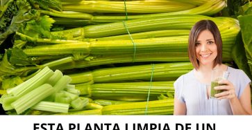 600219691 122144744642943773 1660693126238334909 n