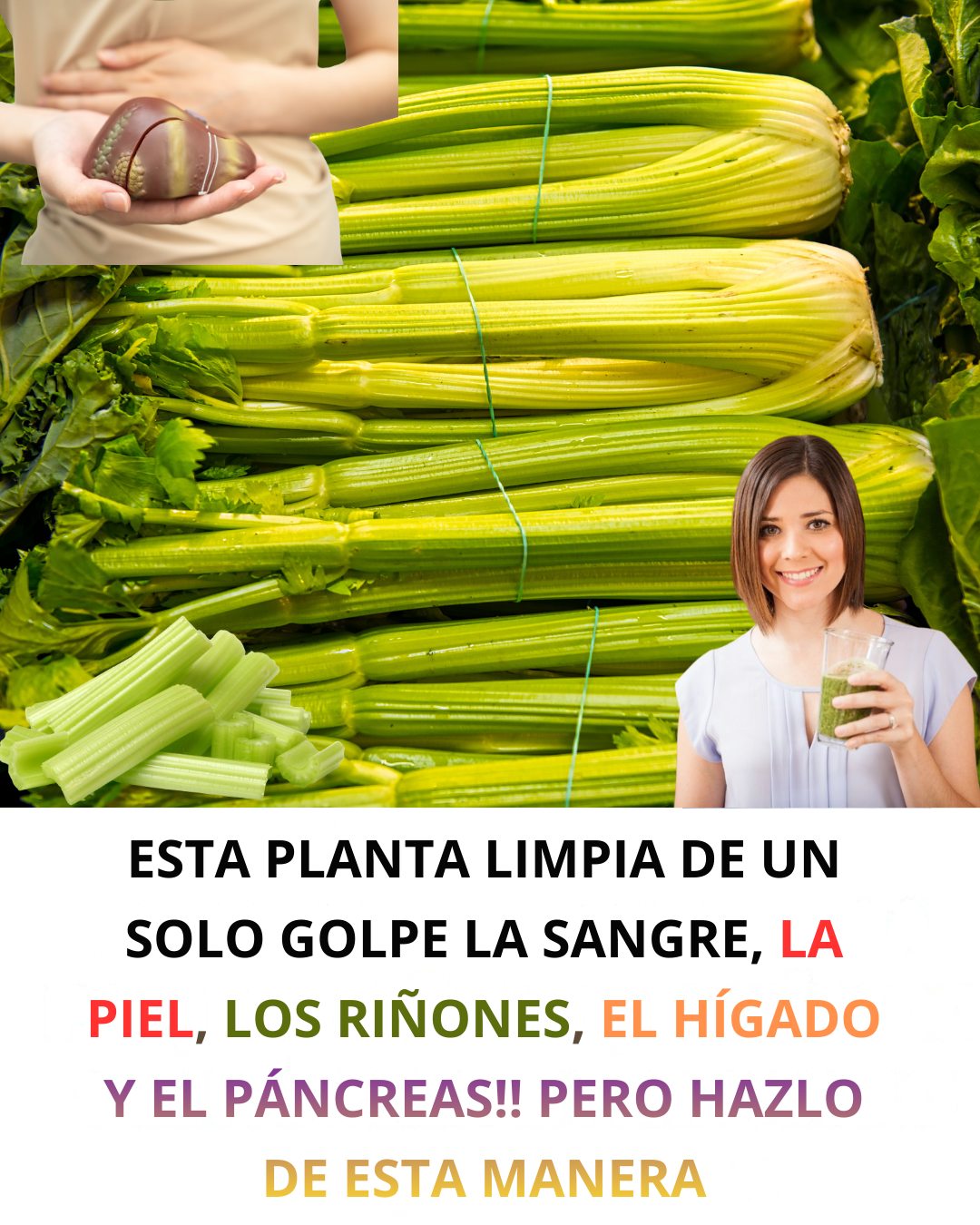 600219691 122144744642943773 1660693126238334909 n