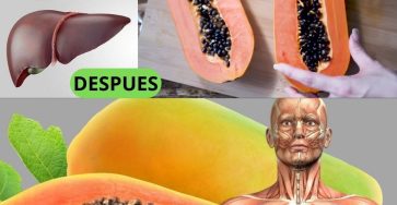 600313619 122144261000943773 7276626650520361950 n