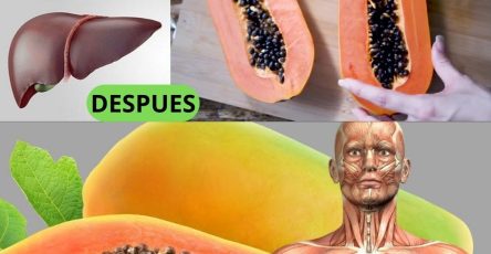 600313619 122144261000943773 7276626650520361950 n