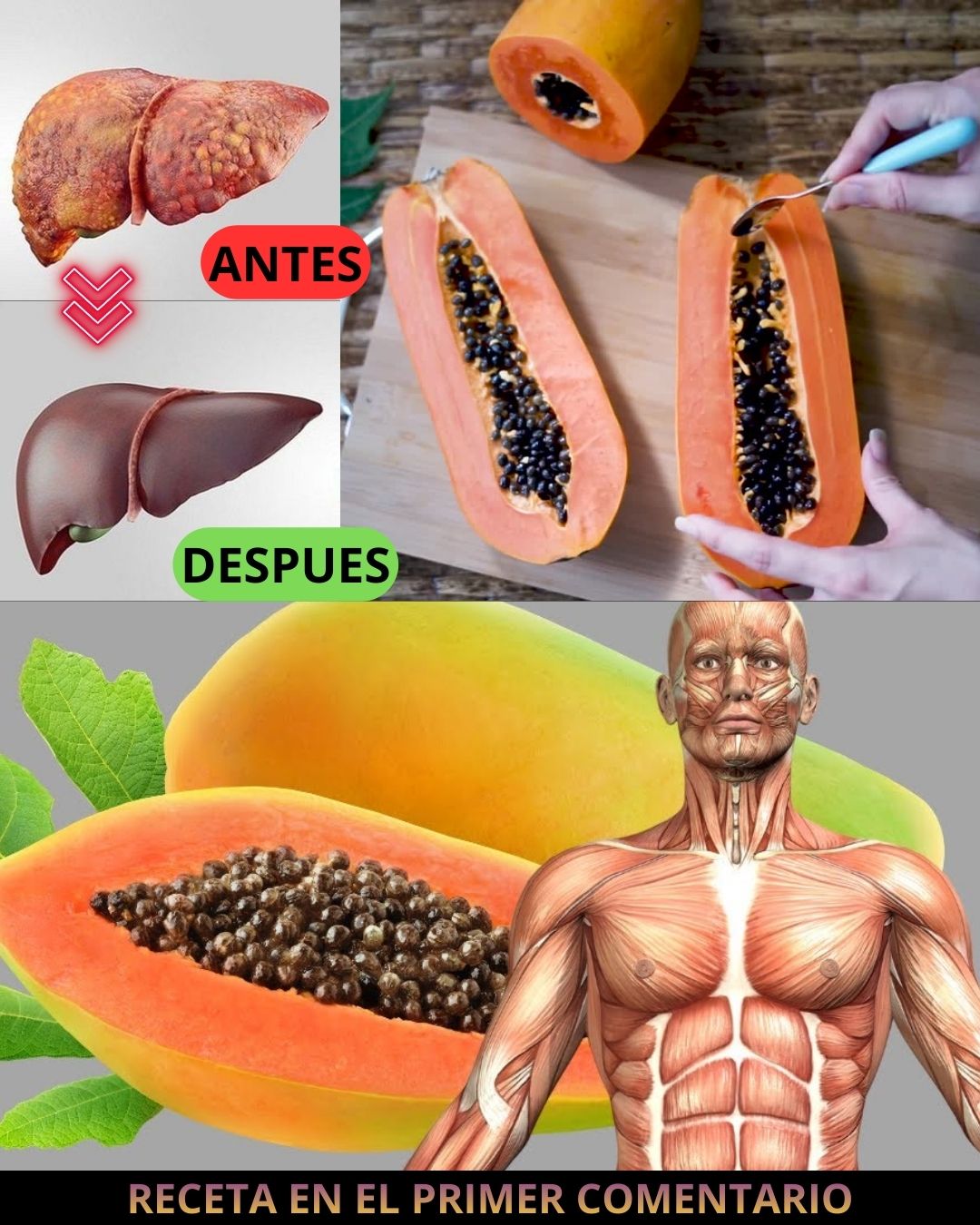 600313619 122144261000943773 7276626650520361950 n