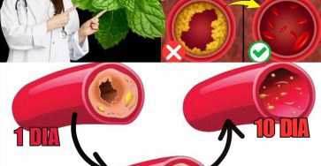 600344935 122144911520943773 3139514503732773060 n