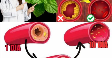 600344935 122144911520943773 3139514503732773060 n