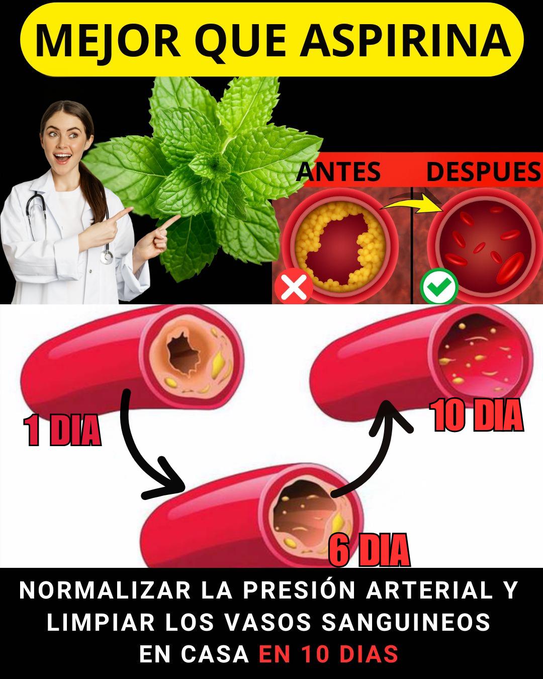 600344935 122144911520943773 3139514503732773060 n