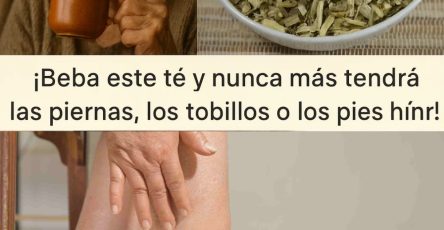 600354330 1488641669457780 652769777360275719 n