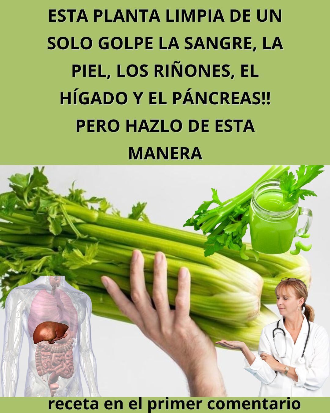 600355110 122144133572943773 166693597382081325 n