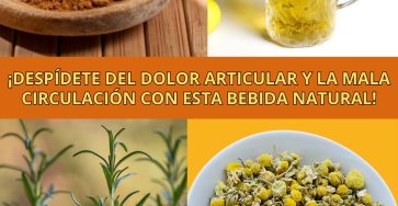 600944037 122145268124943773 8888820797148750879 n