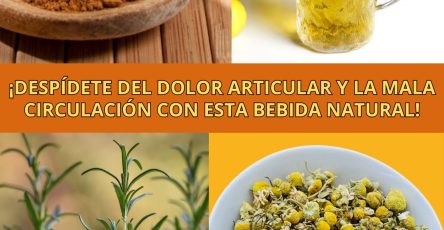 600944037 122145268124943773 8888820797148750879 n