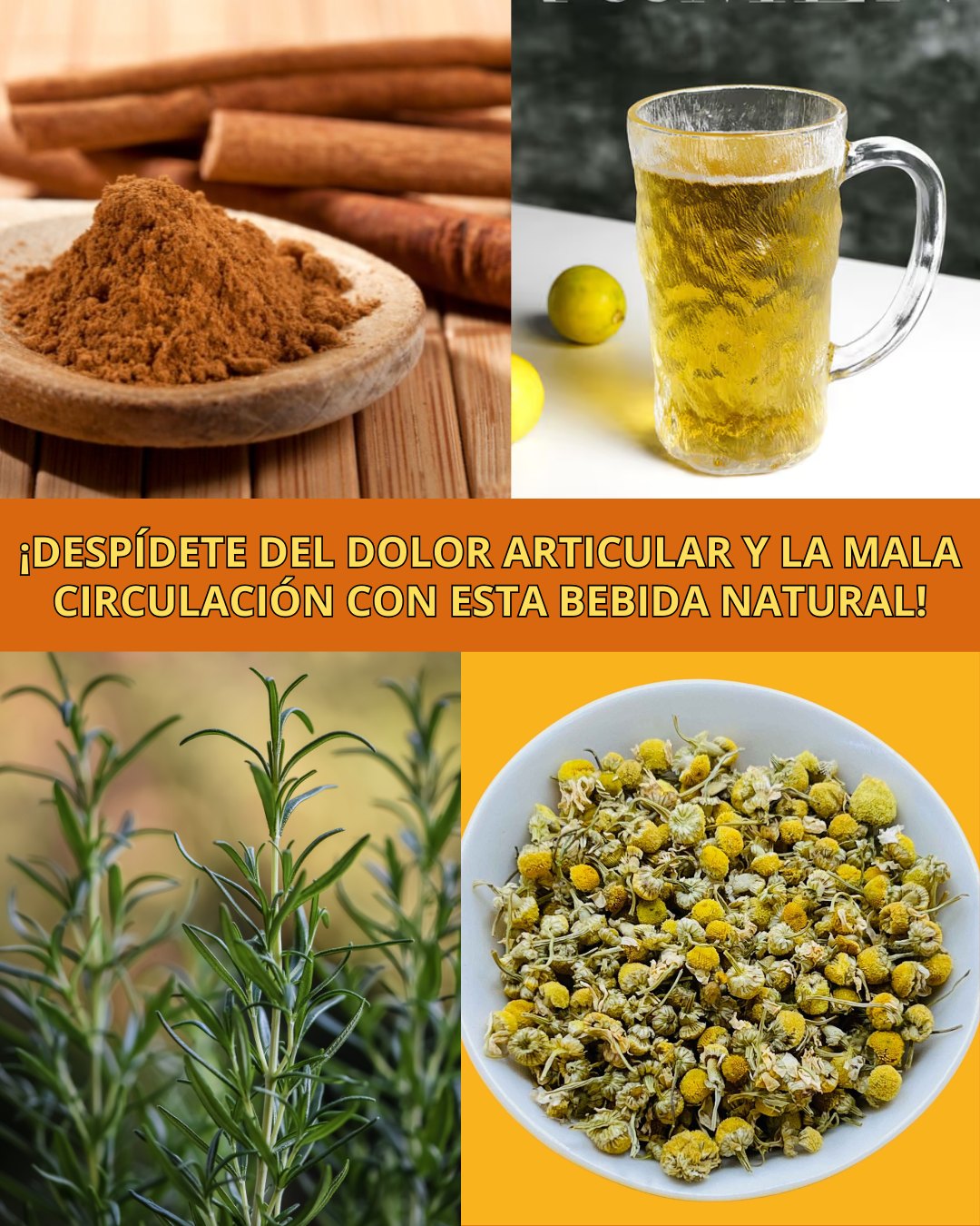 600944037 122145268124943773 8888820797148750879 n