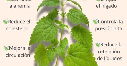 601383908 122145381728943773 1748926386362541365 n