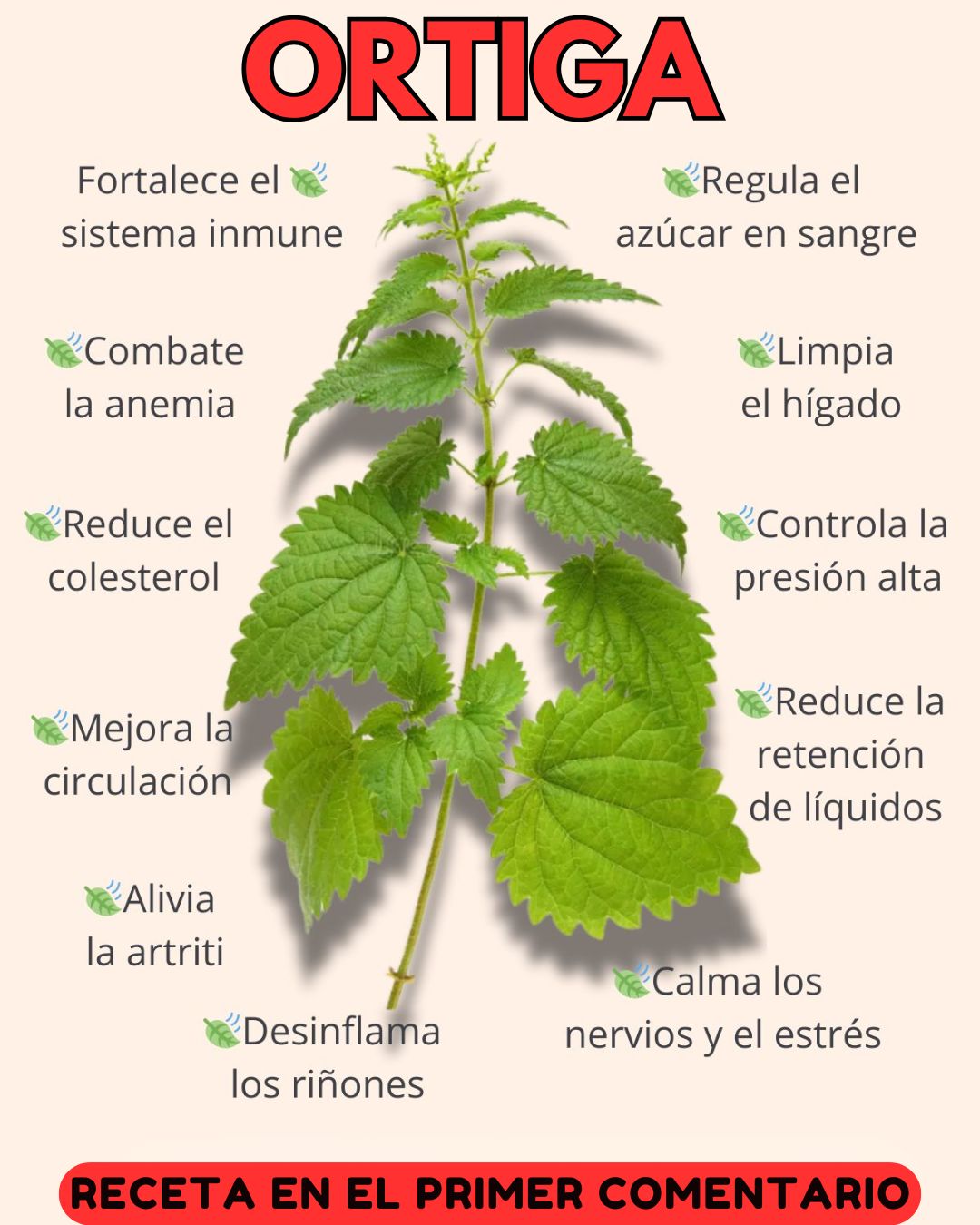 601383908 122145381728943773 1748926386362541365 n