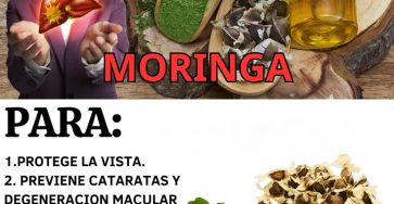 601418787 122145070898943773 8257022915505099705 n