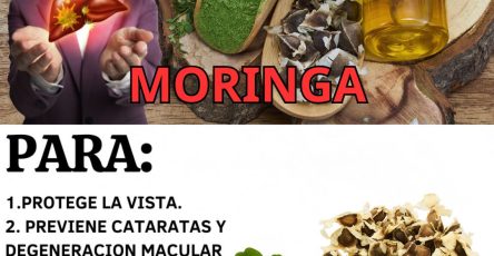 601418787 122145070898943773 8257022915505099705 n