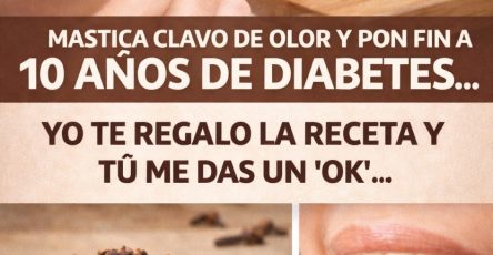 601438928 122146000370943773 554668443531198997 n