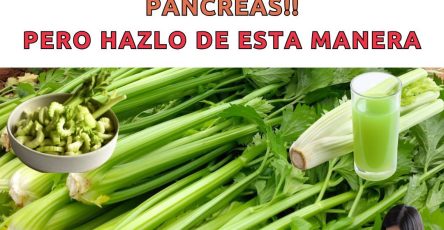 601840840 122145308534943773 5885577346235338433 n