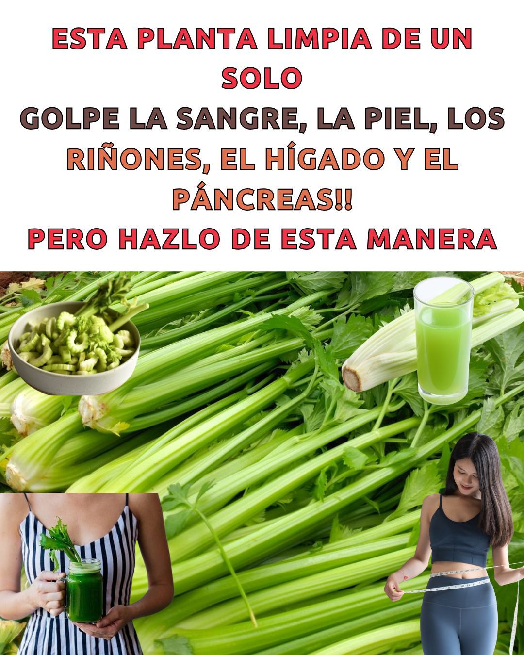 601840840 122145308534943773 5885577346235338433 n