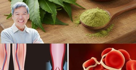 602331434 122145675194943773 5959985090496158976 n