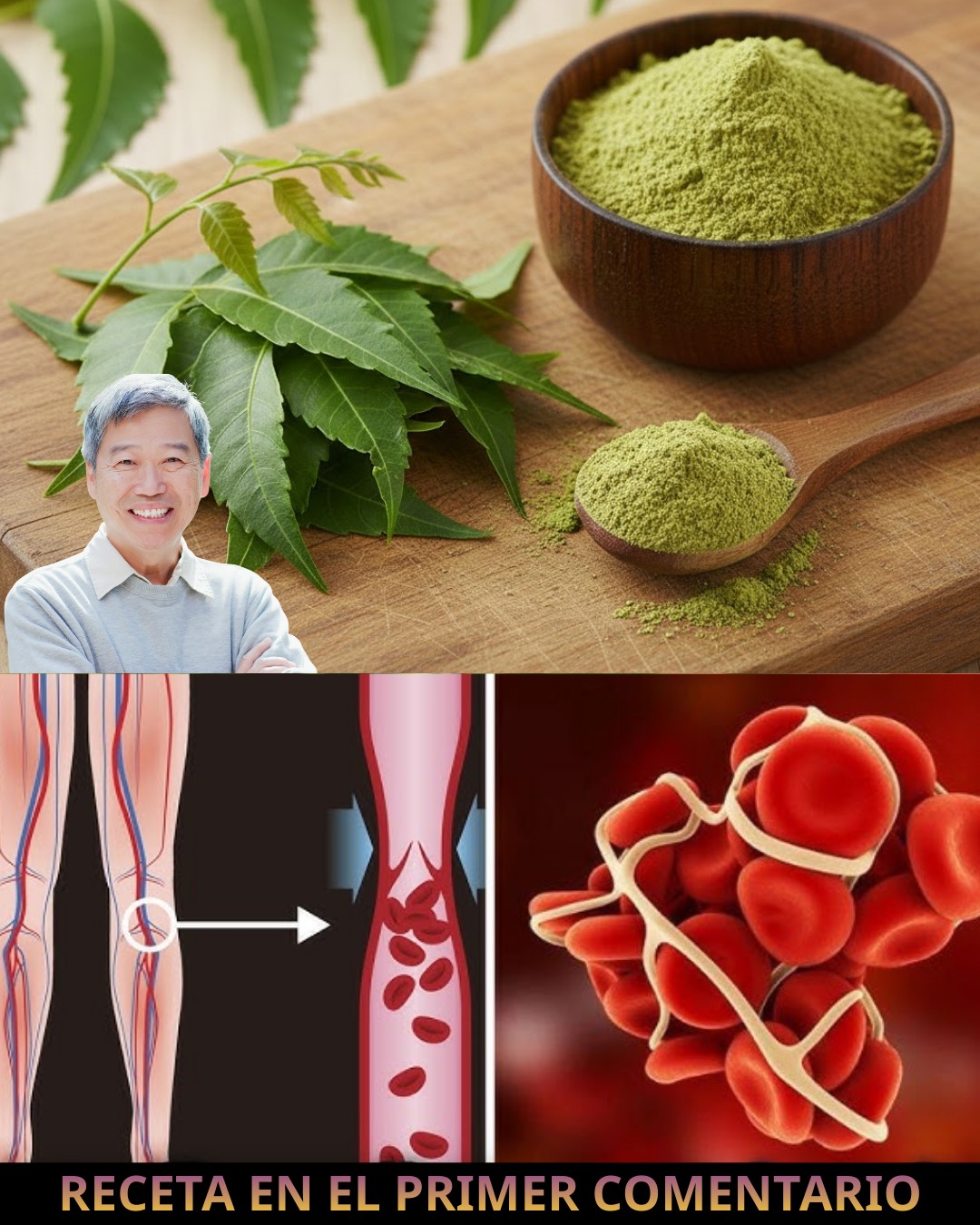 602331434 122145675194943773 5959985090496158976 n