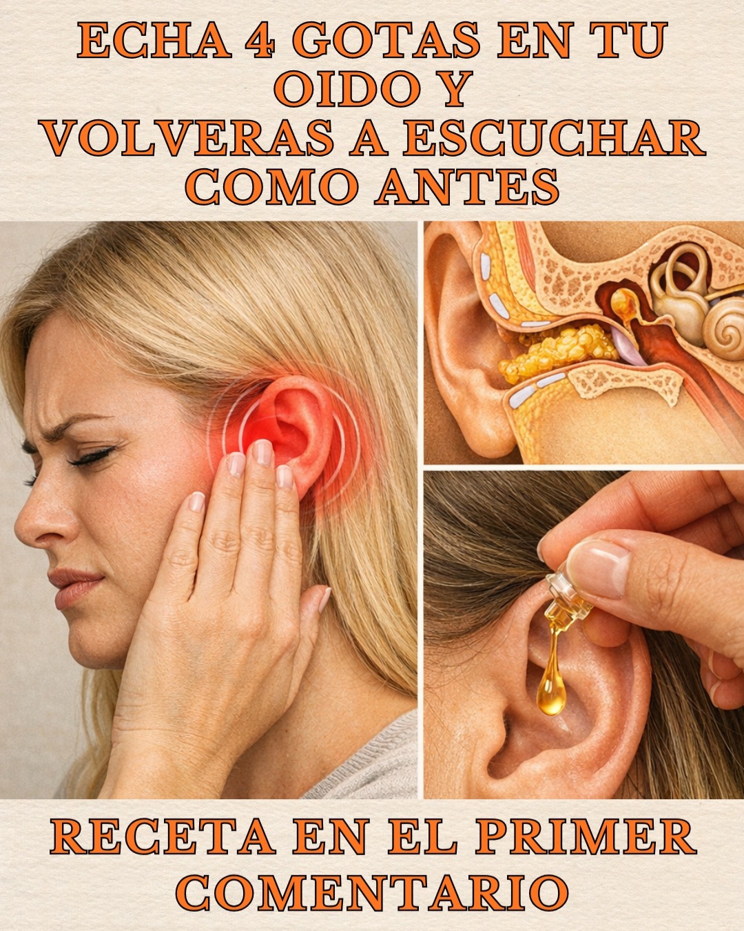 602936577 122147392880943773 2302578126136330210 n