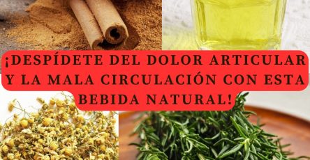 603050080 122145141704943773 2240351250008928685 n