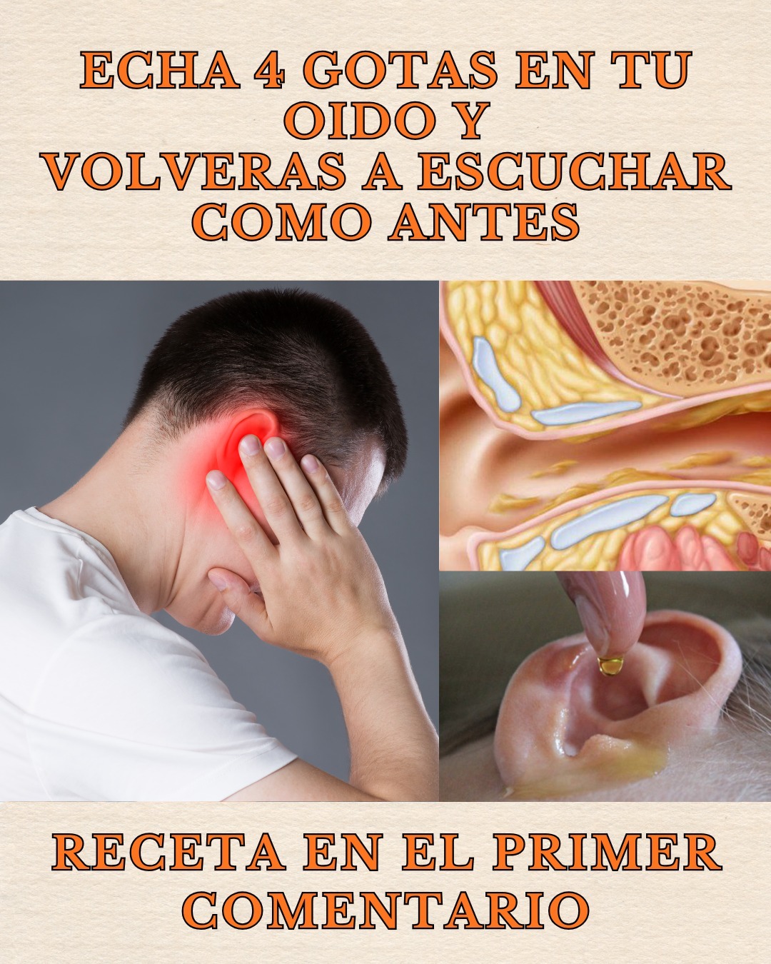 603838723 122145423950943773 1783452971614980260 n (1)