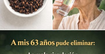 605137421 122146305692943773 3478649718605667152 n