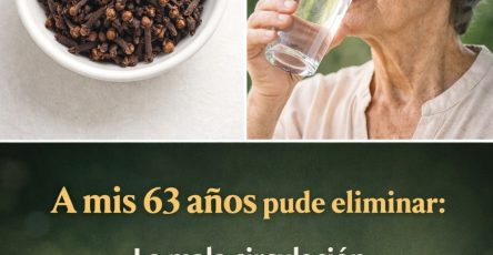 605137421 122146305692943773 3478649718605667152 n