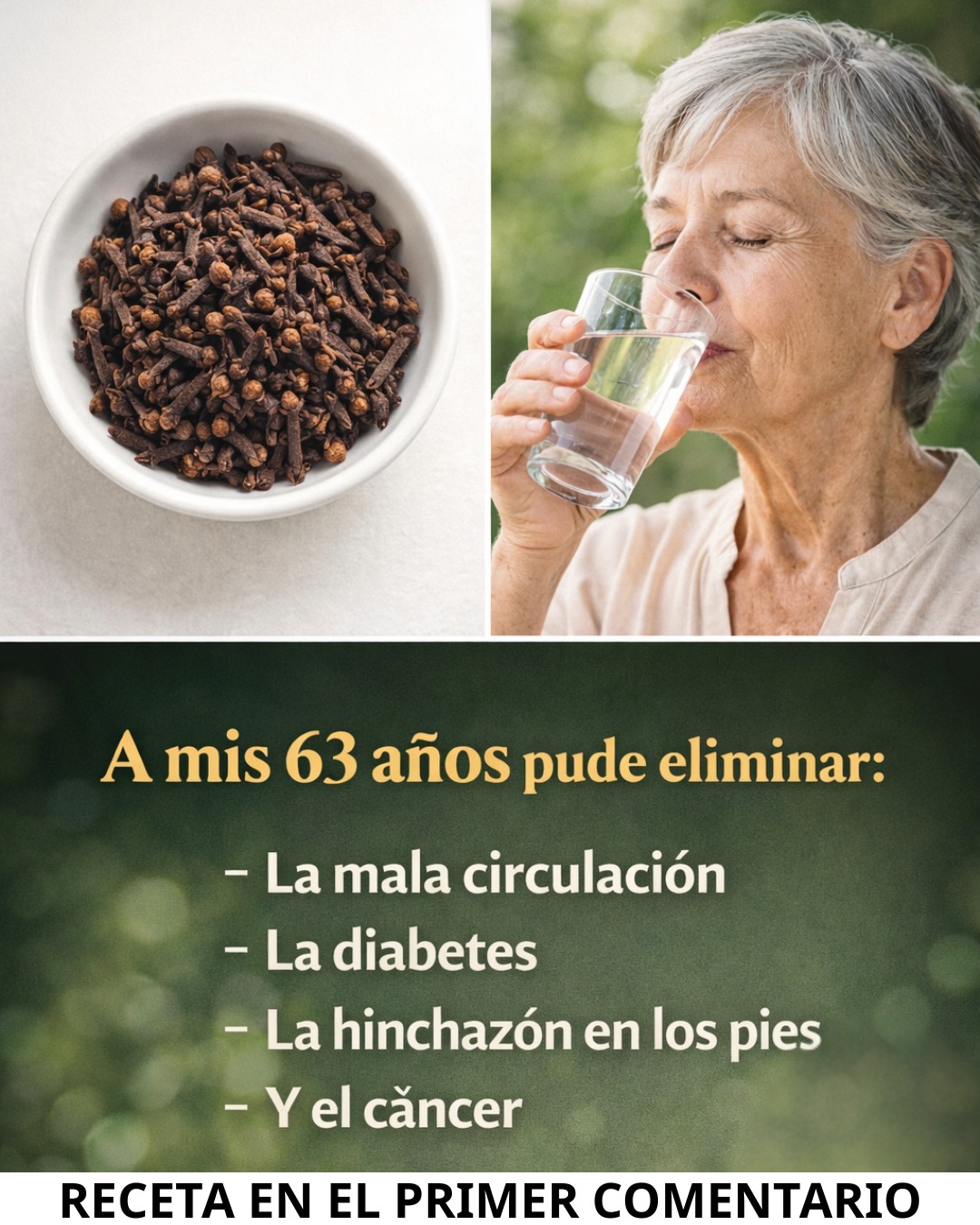 605137421 122146305692943773 3478649718605667152 n