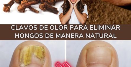 605346316 122145354986943773 1337133260632253598 n