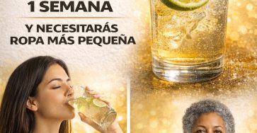 607430798 122146599806943773 5675479569934003813 n