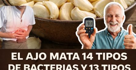 607452884 122147457794943773 1567050729100685536 n